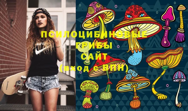 мдпв Балабаново