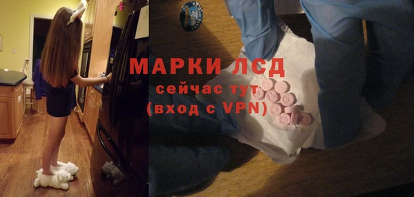 прущие грибы Балахна