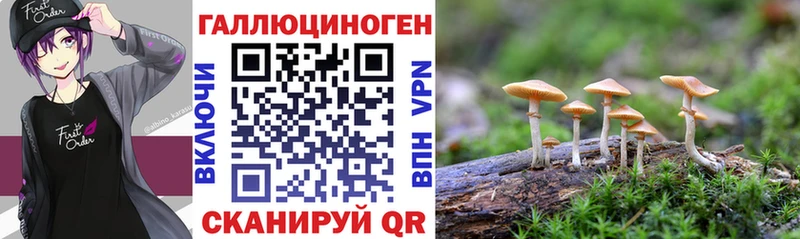 hydra tor  Опочка  Галлюциногенные грибы мухоморы  купить  